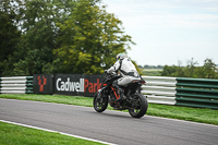 Lower Group Black Bikes